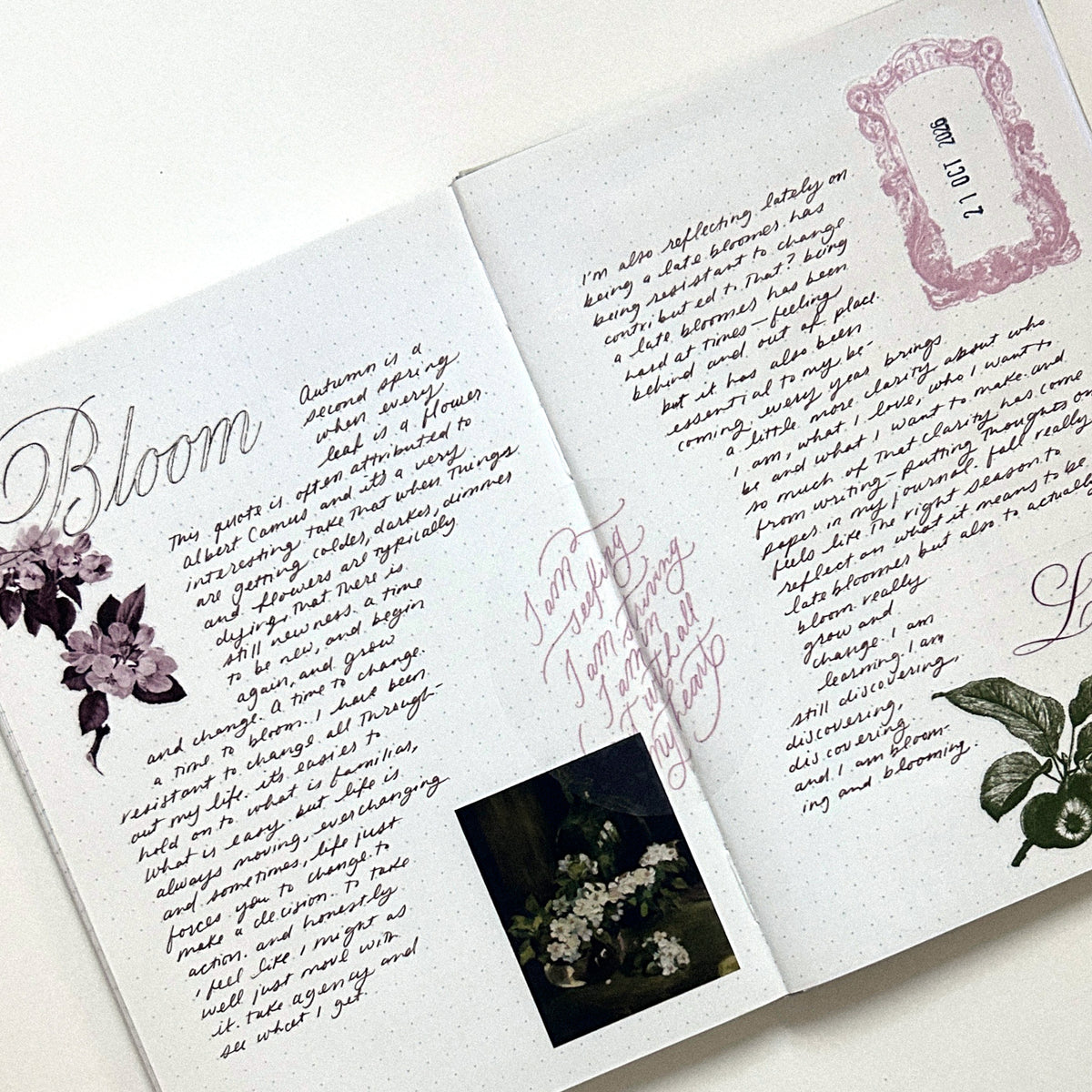 Apple Blossom Sticker Set