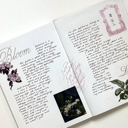 Apple Blossom Sticker Set